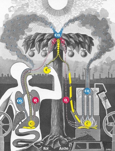 Fritz Kahn - The cykle of Virtue and Substance : 1929 (1)